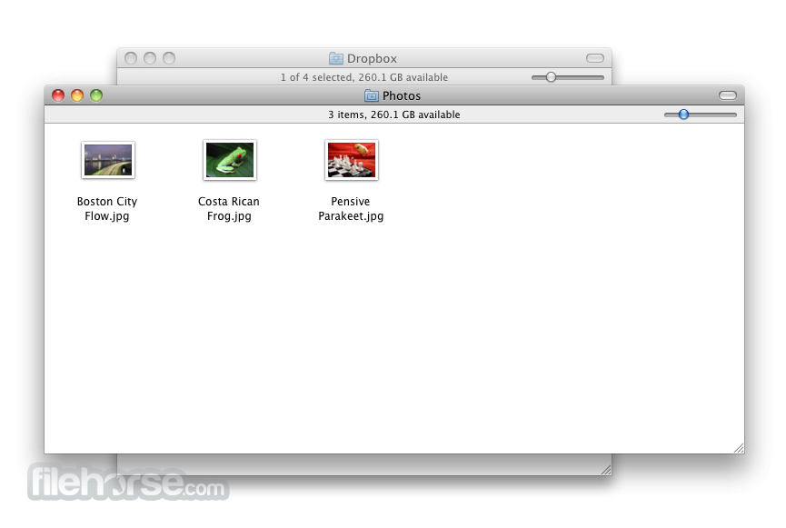 Dropbox download files to mac catalina